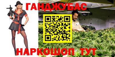 a pvp Бийск