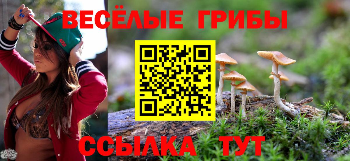 Галлюциногенные грибы Psilocybe  Псилоцибиновые грибы мицелий  Вход с VPN  Калининград 