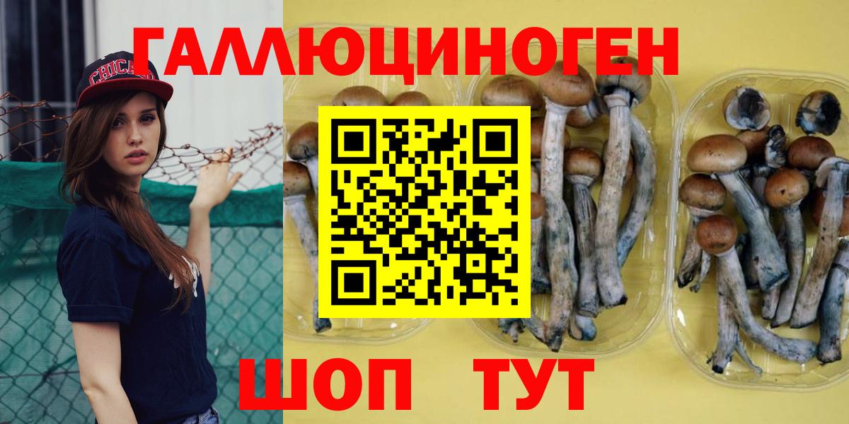 Псилоцибиновые грибы GOLDEN TEACHER Калининград