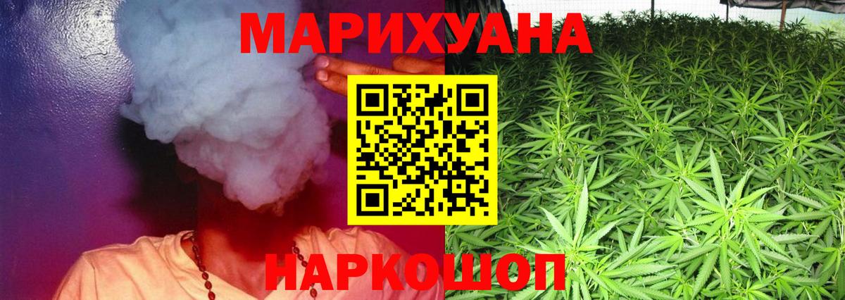 Конопля конопля Калининград